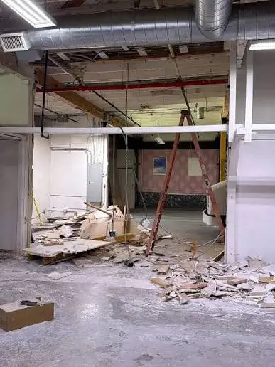 Interior Demolition image