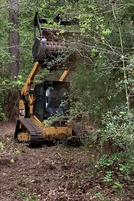 Land Clearing image