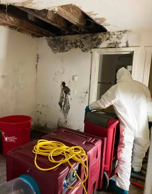 Mold Remediation man image 