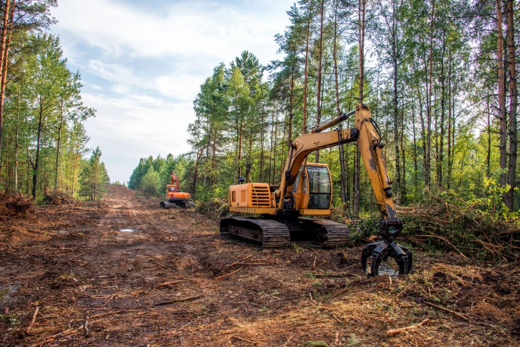Site Clearing